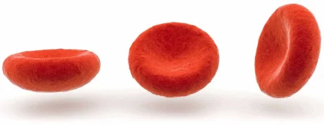 5 Ways To Increase Your Hemoglobin Levels Immediately
