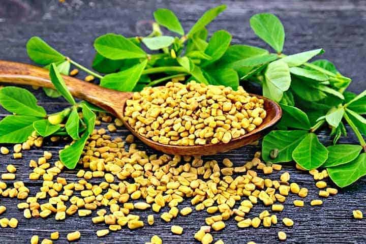 fenugreek seeds for anaemia, herbs for low iron, herbs for kidney disease, herbs for CKD, herbs to improve renal function