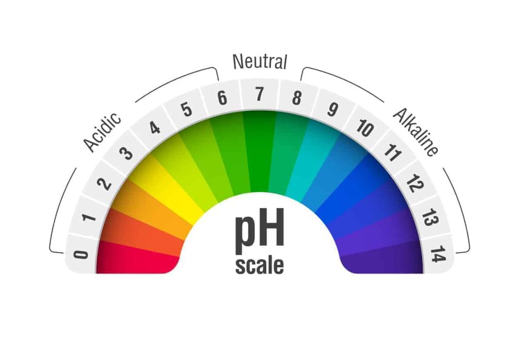 ph levels in kidney disease