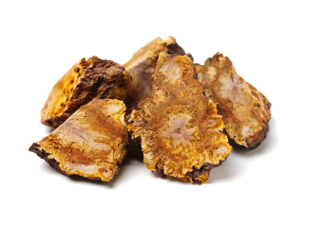 Fo Ti, longevity, chinese herbs for kidney health, klotho