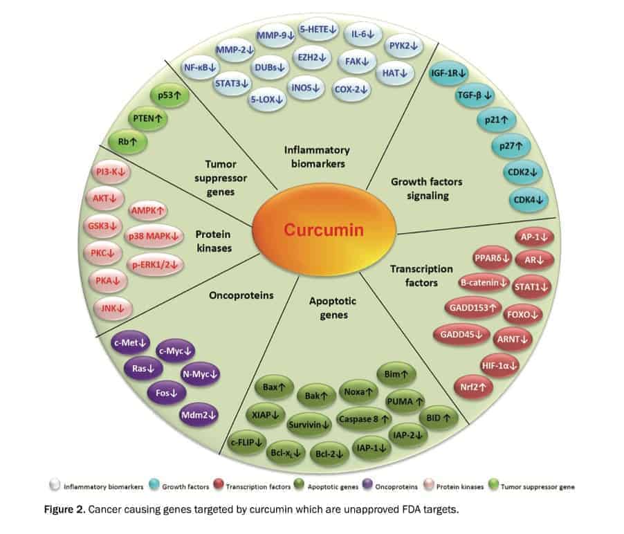 Kidney Cancer and turmeric