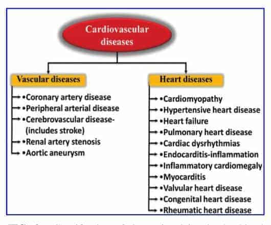 cardiovascular disease and Kidney disease