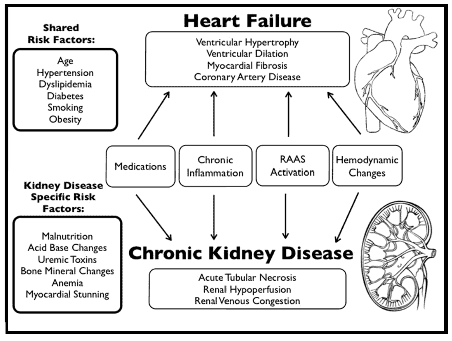 Heart disease and kidney disease