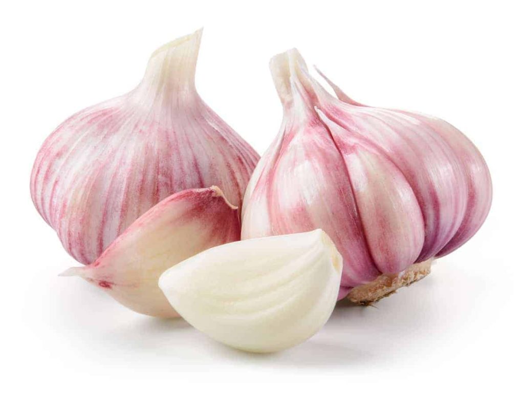 garlic and Kidney disease