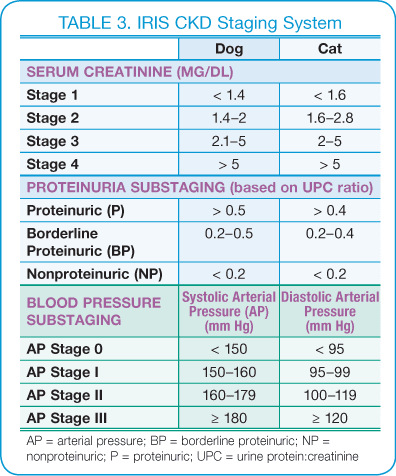 Kidney function in Pets