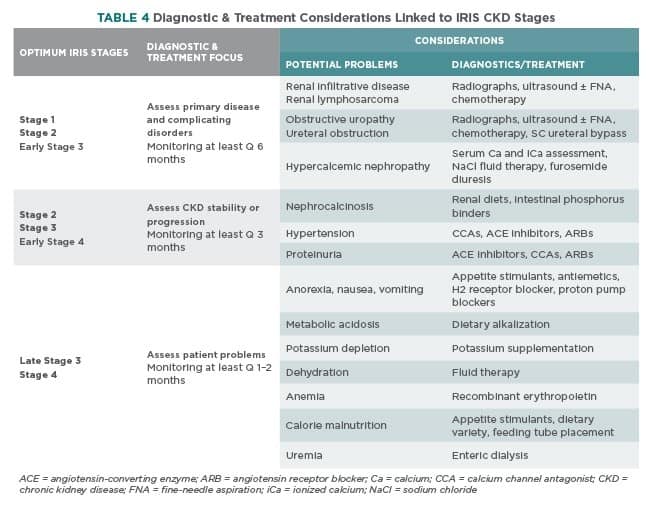 Diagnostic treatment of CKD in Dogs and cats