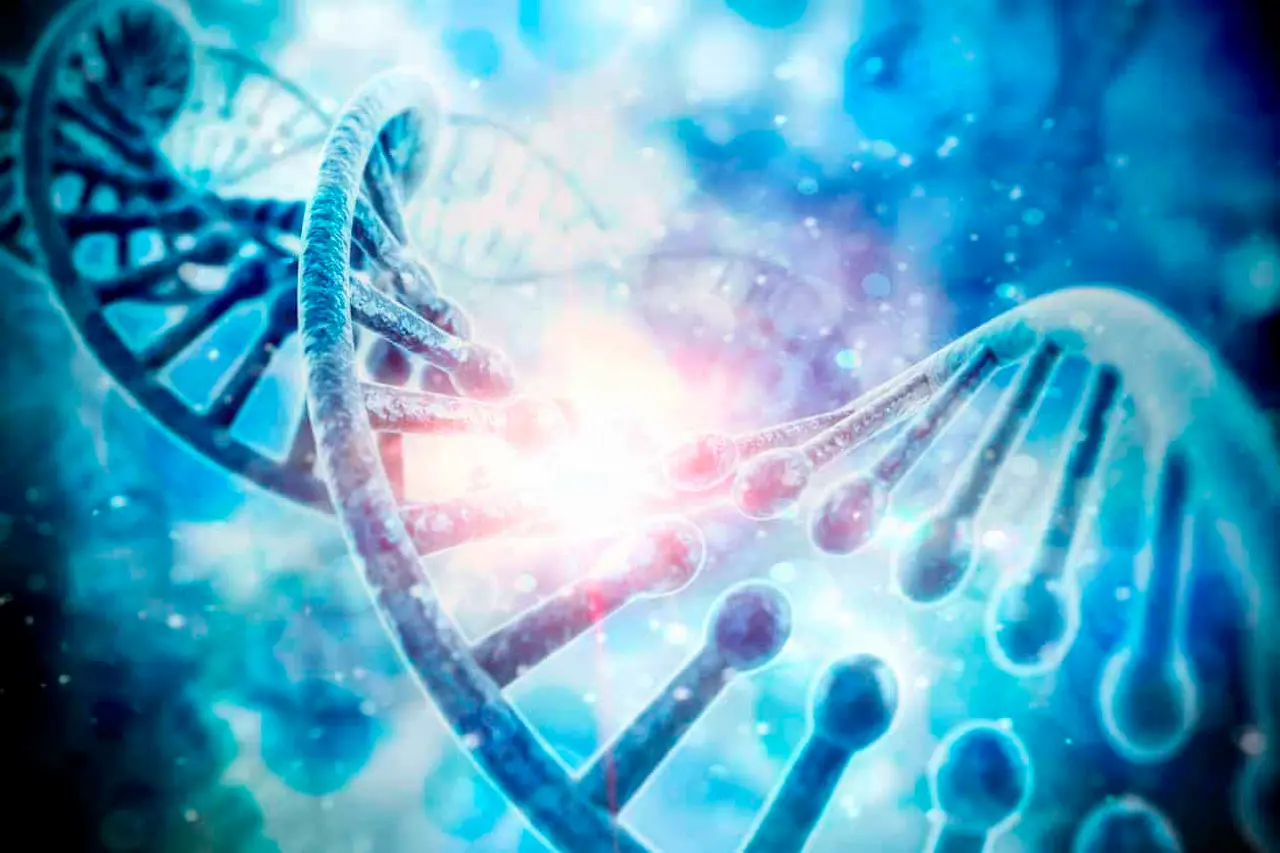 Genetics, Methylation, Renal Disease & The Kidneys