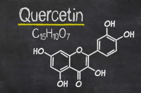 Quercetin & its Role in Supporting Healthy Kidney Function