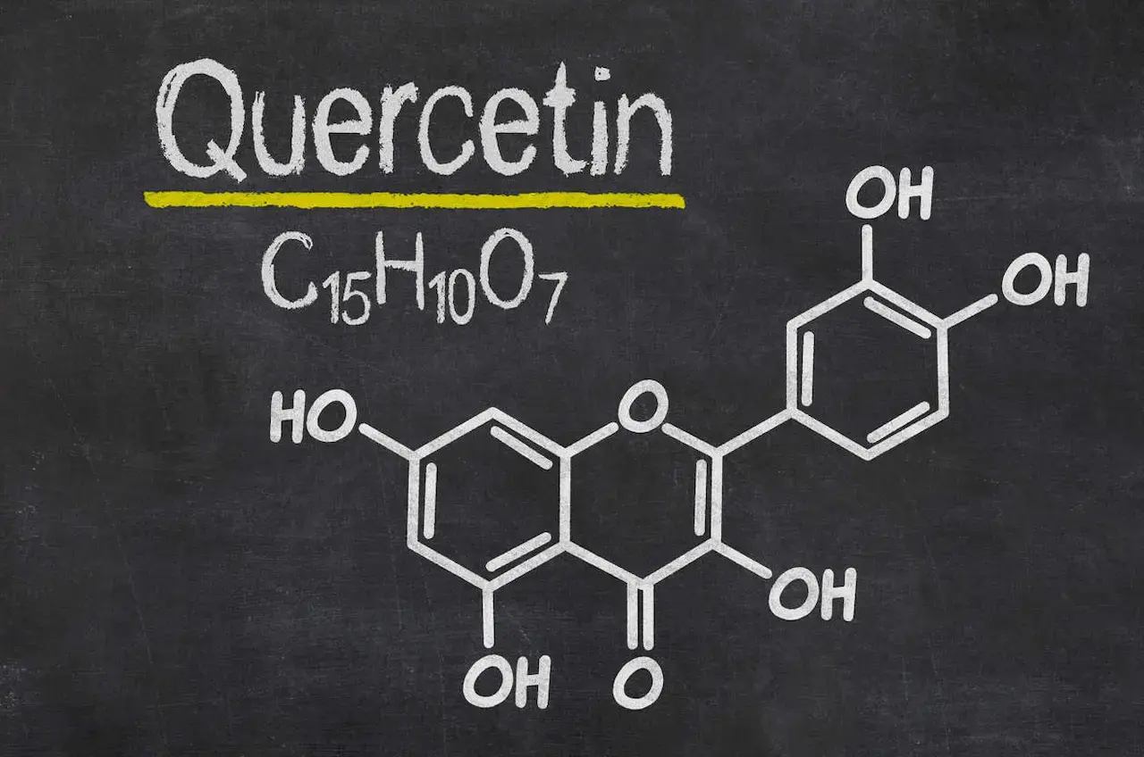 Quercetin & its Role in Supporting Healthy Kidney Function