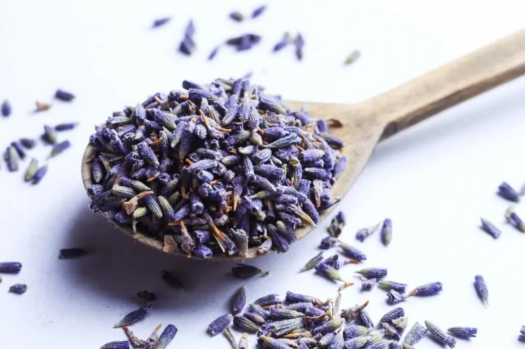 Dried Lavender Flowers in a Wooden Scoop 