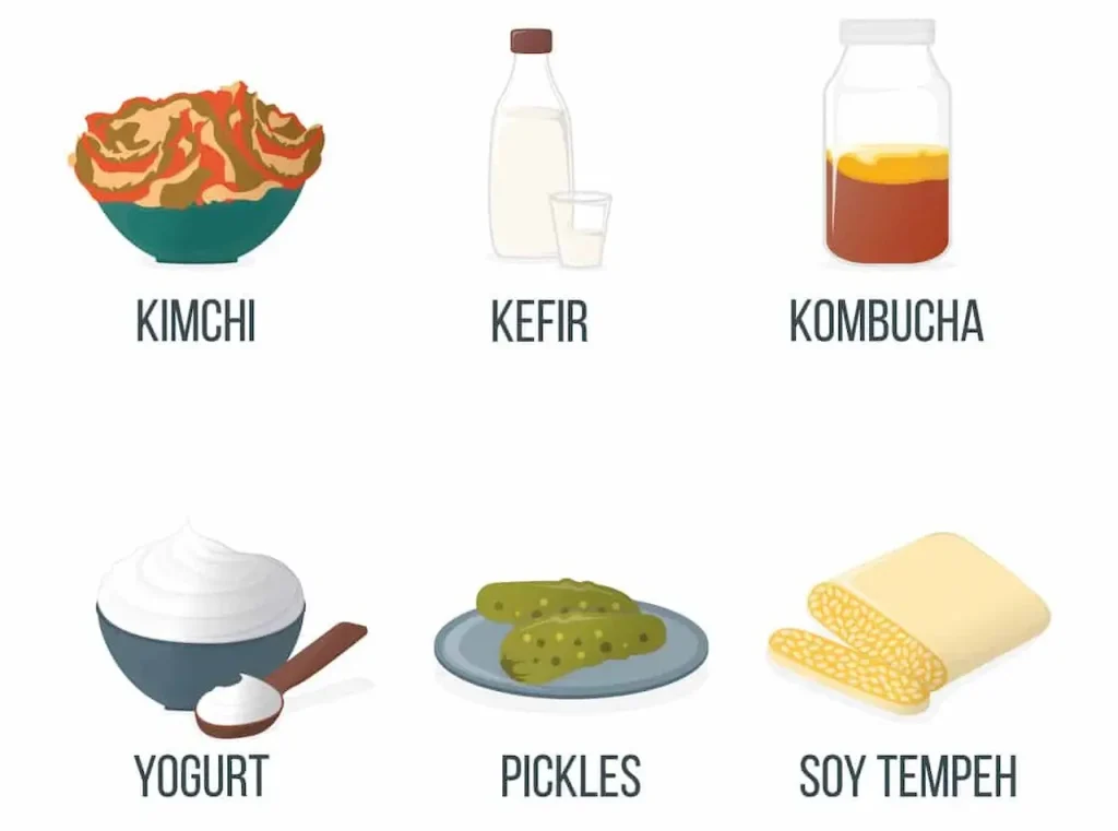 Set of Probiotic Foods for a Kidney-Friendly Diet 
