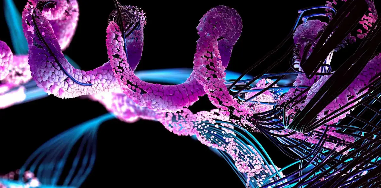 Peptides and their use in Chronic Kidney & Renal Disease