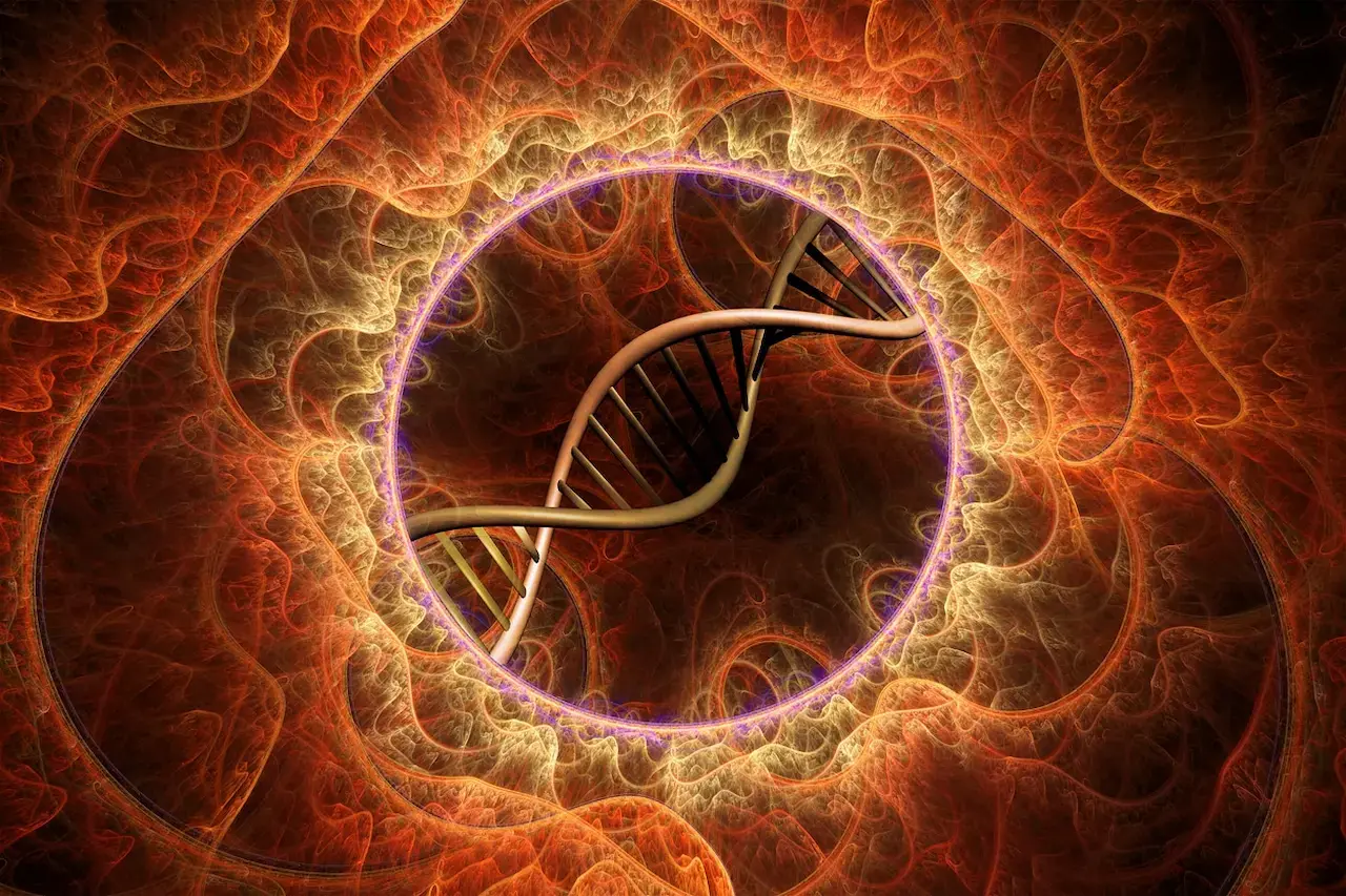 Senescent Cells, Their Role in Kidney Disease & How to Manage Them