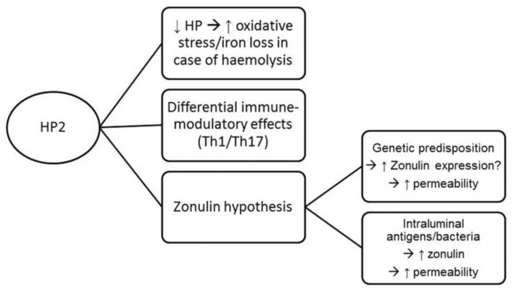 zonulin, gluten sensitivity and kidney disease