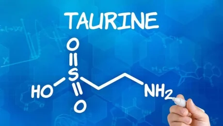 Taurine & its Role in Chronic Renal Disease