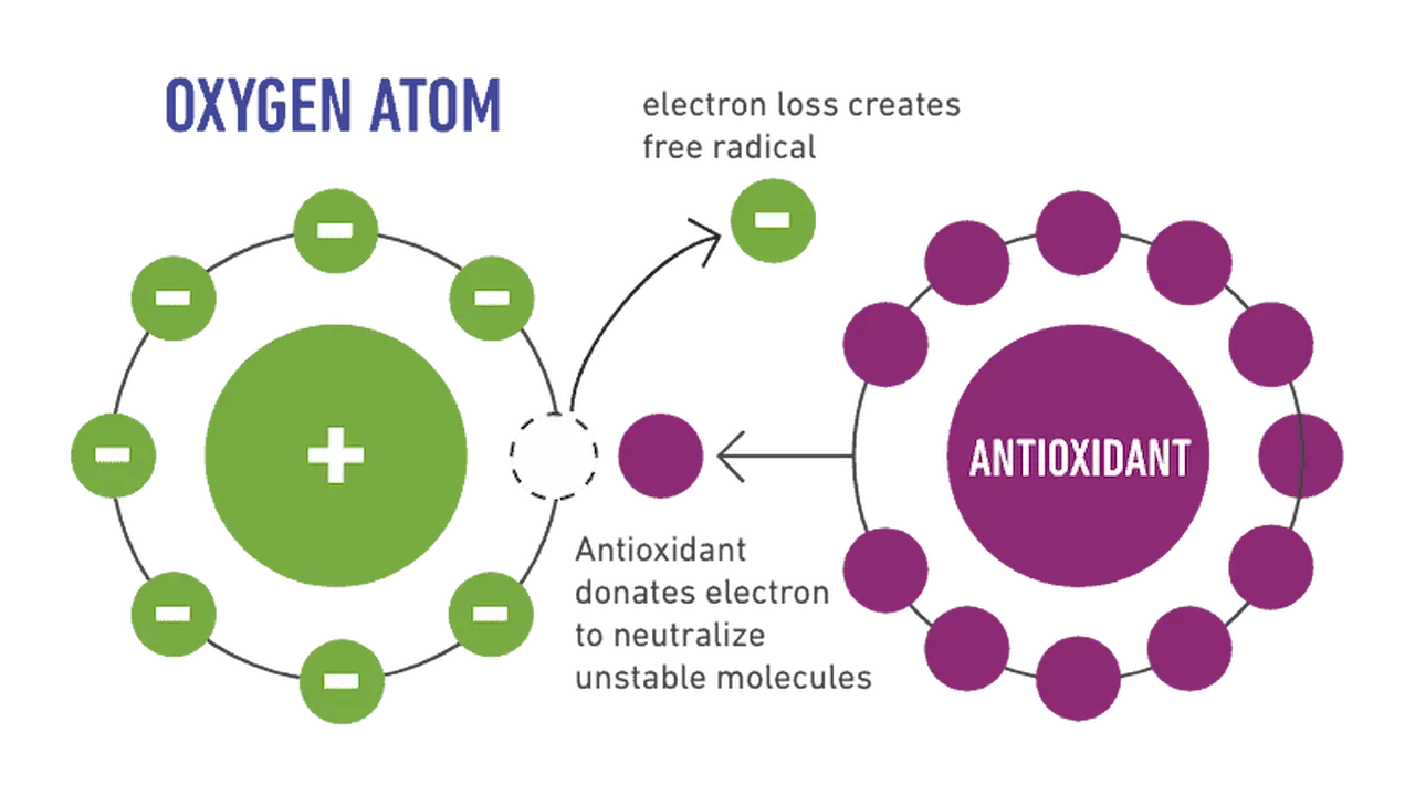 Anti Oxidant Effect Chart