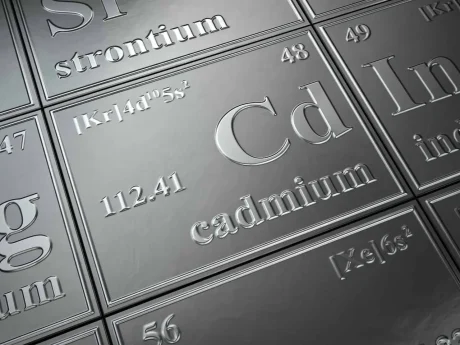 Cadmium Toxicity and Renal Failure
