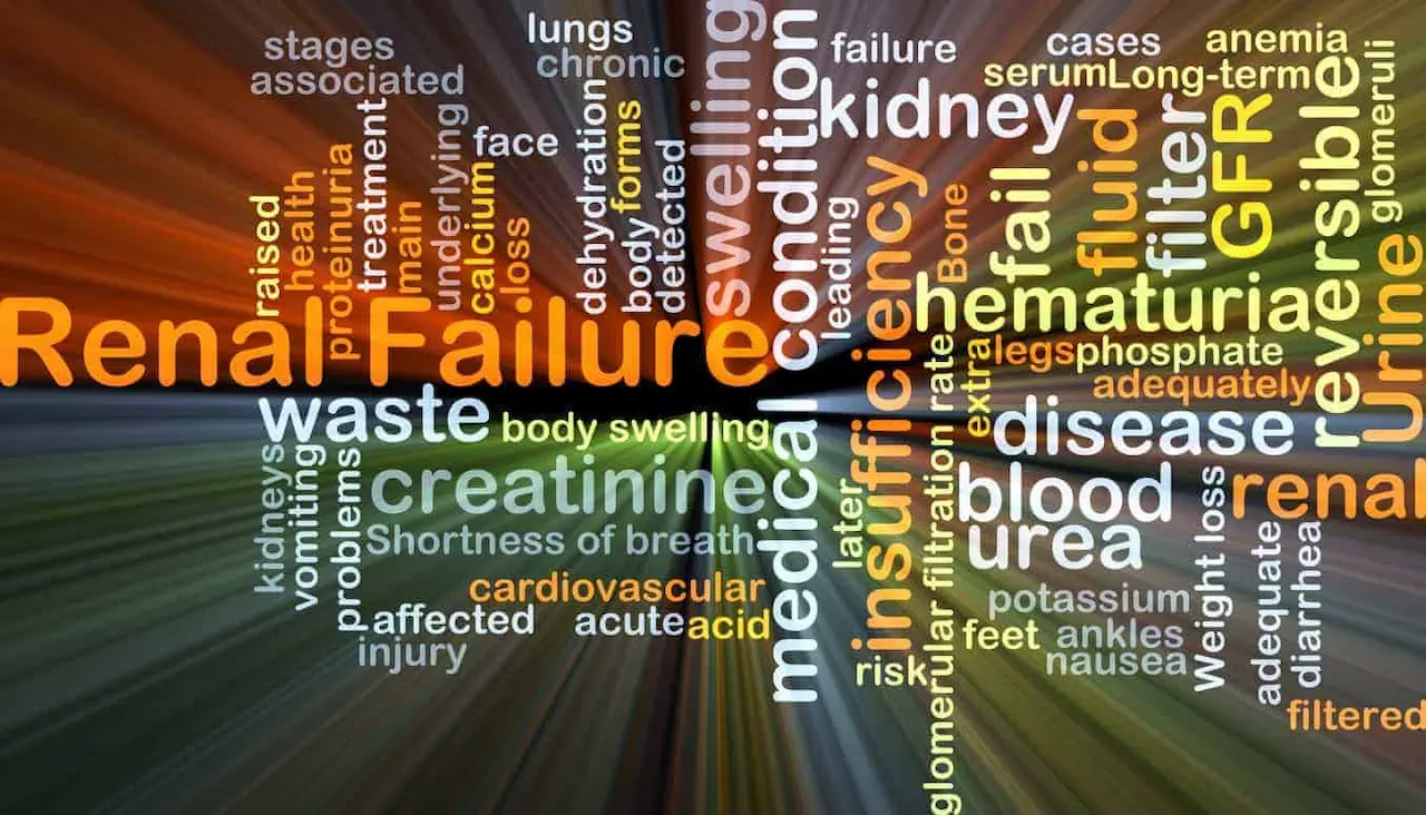 Chronic Kidney Disease