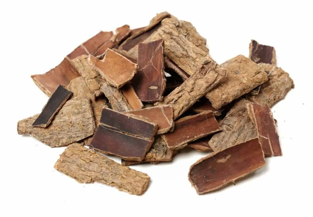 Eucommia for Elevated Blood Pressure and Diabetes and Kidney and Renal Diseases