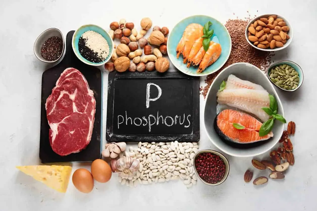 Phosphorus & Kidney Disease