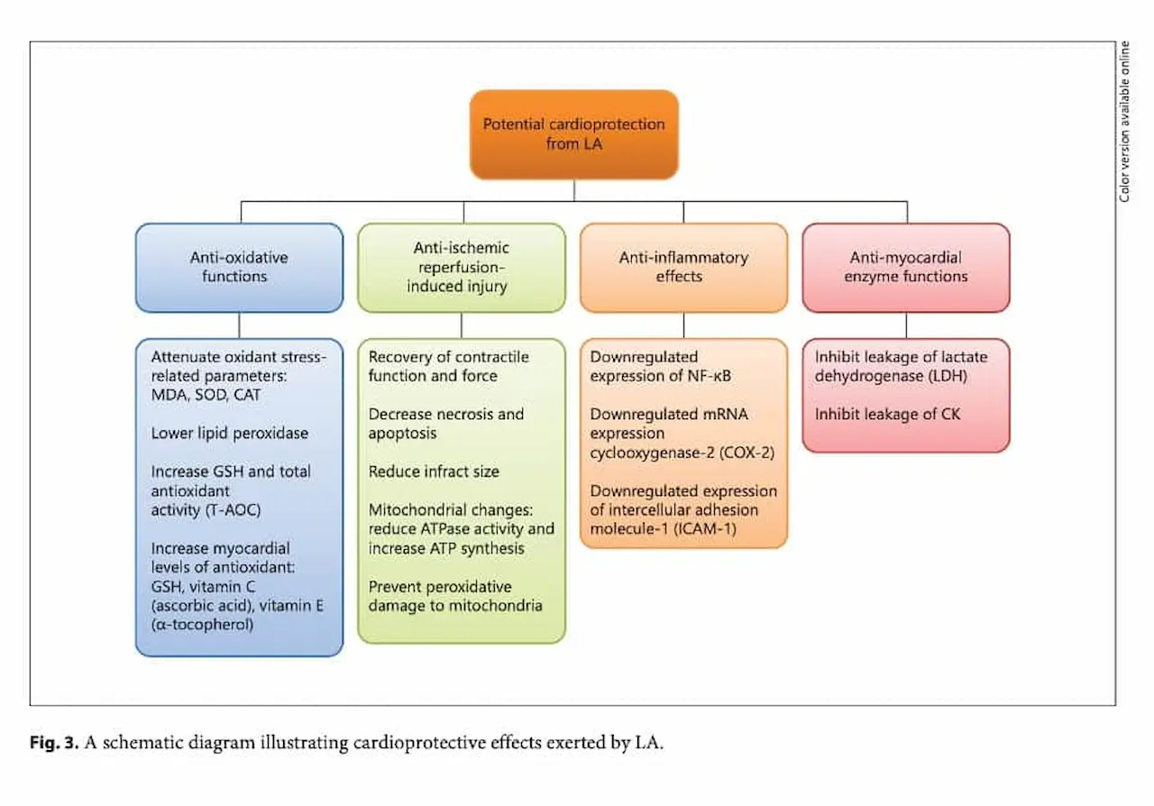 Schematic Diagram Cardioprotective Effects 