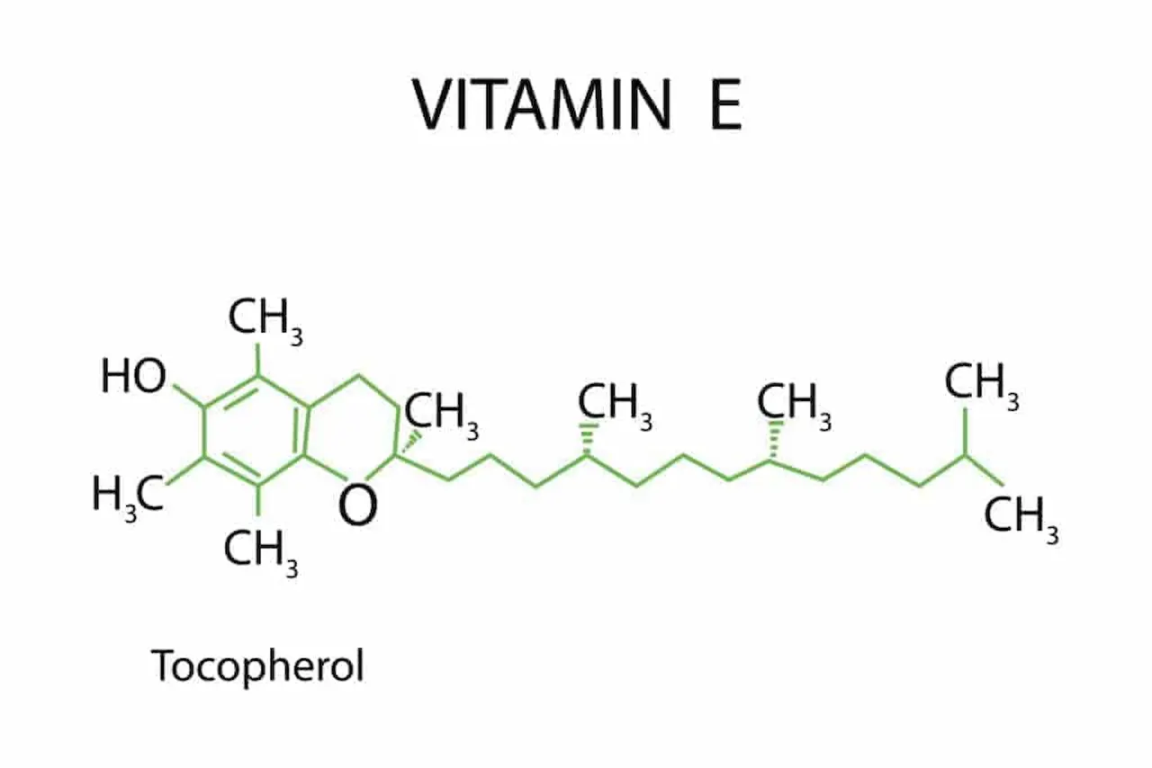 Vitamin E in Kidney Disease