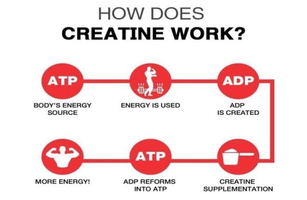 Can I use creatine if I have kidney disease