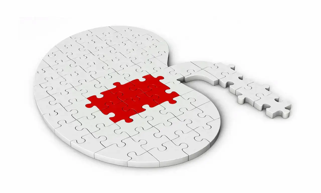 Gitelman Syndrome Symptoms, Treatment, and Living with This Rare Kidney Disorder