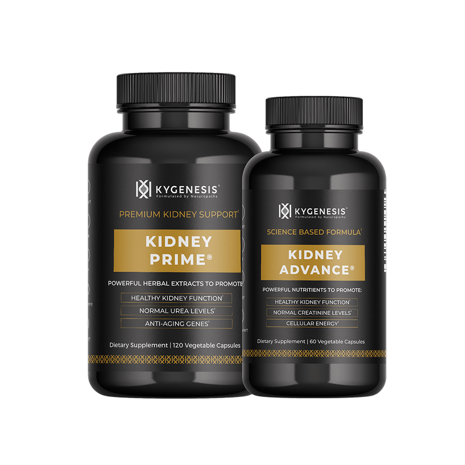 Kidney Support Protocol