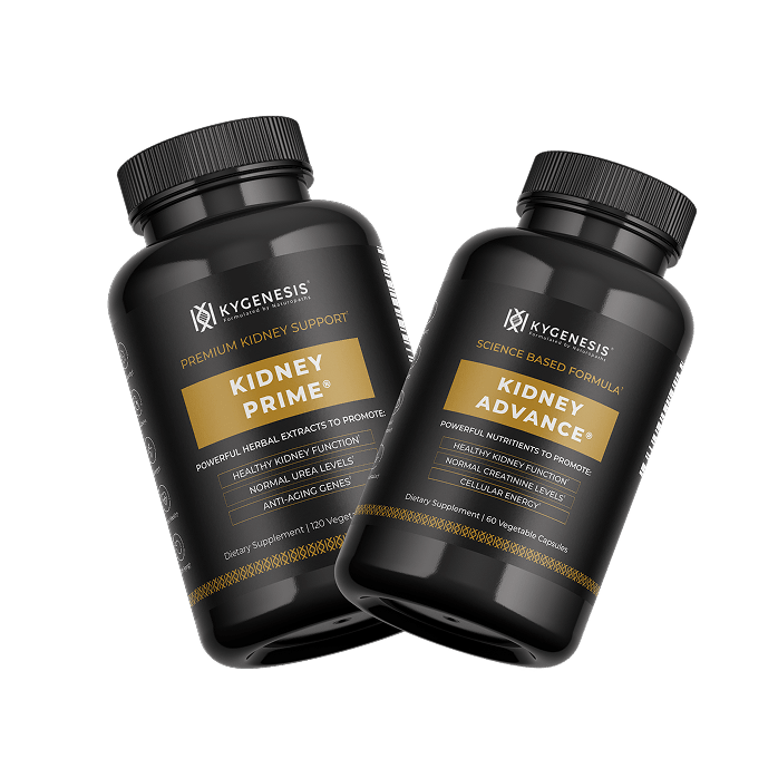 Kidney Support Protocol - Image 2