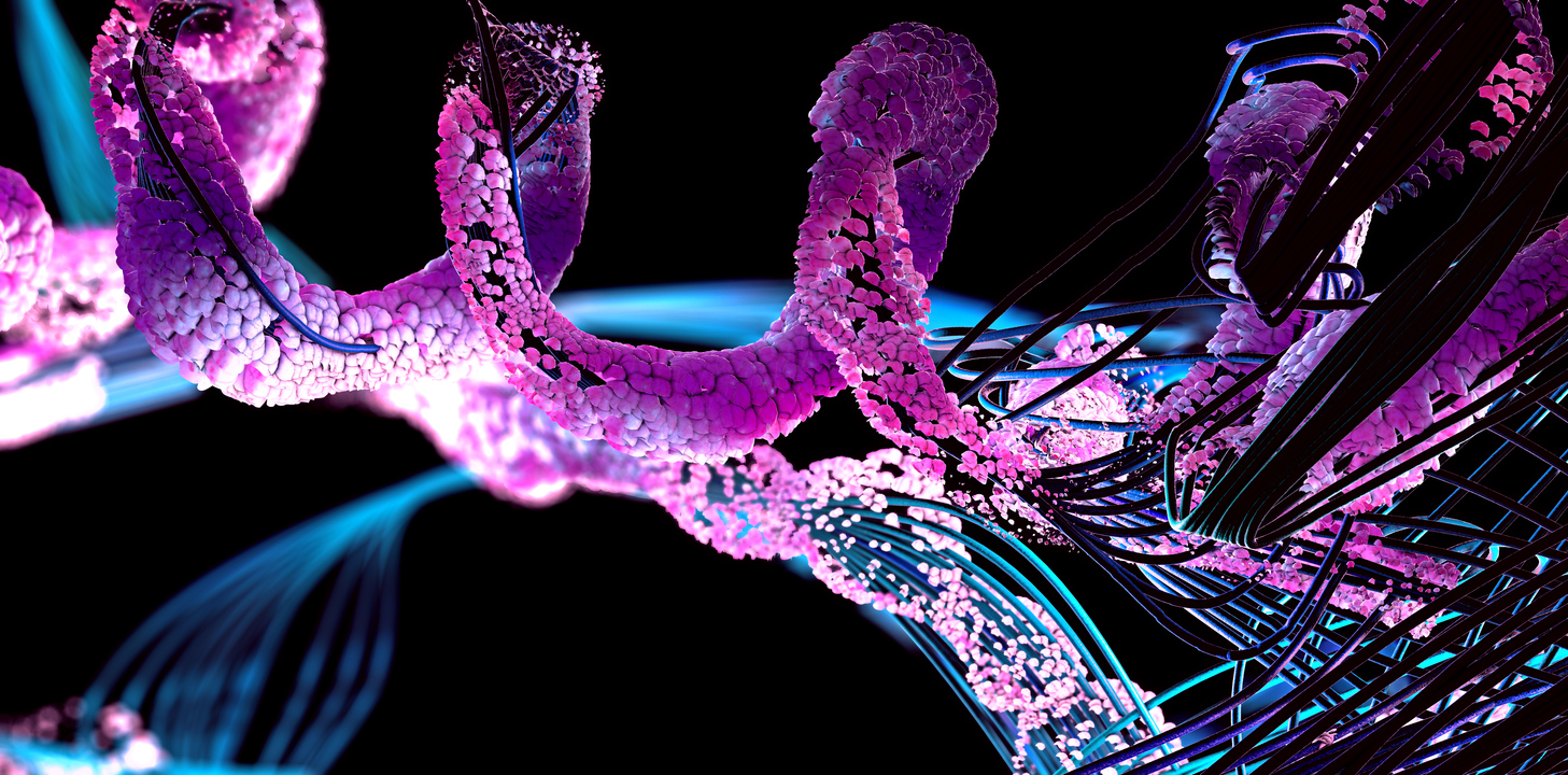 amino acids and CKD