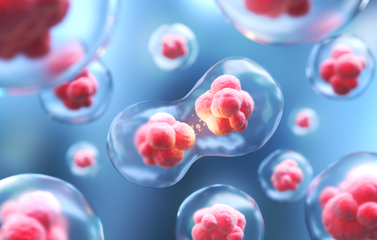 stem cell therapy for kidney and renal disease