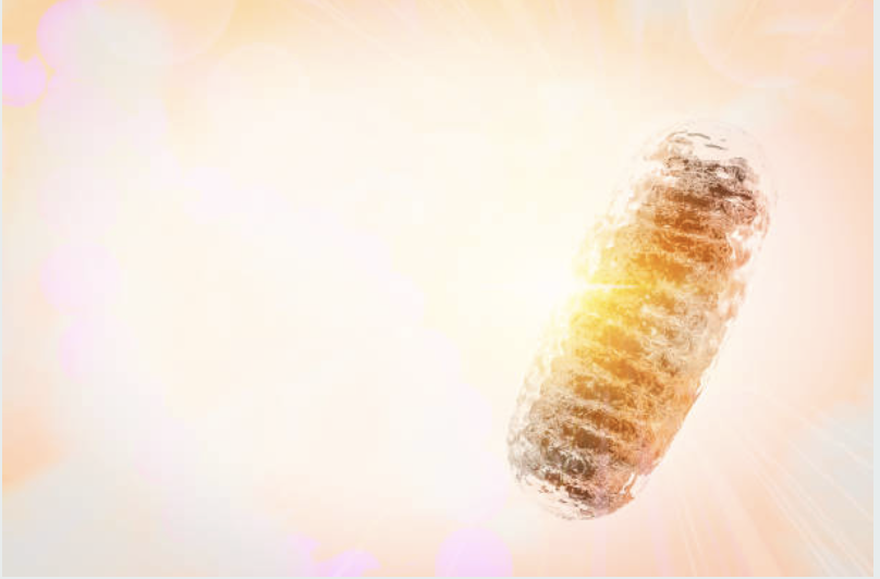 mitochondrial peptides for kidneys Klotho peptide kidney health, VD-11 and SLU peptides, mitochondrial health and chronic disease