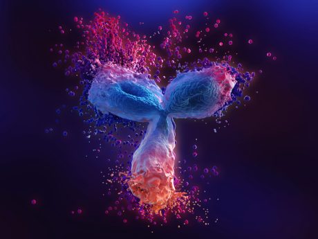 Klotho -1 and klotho - 6 and kidney disease