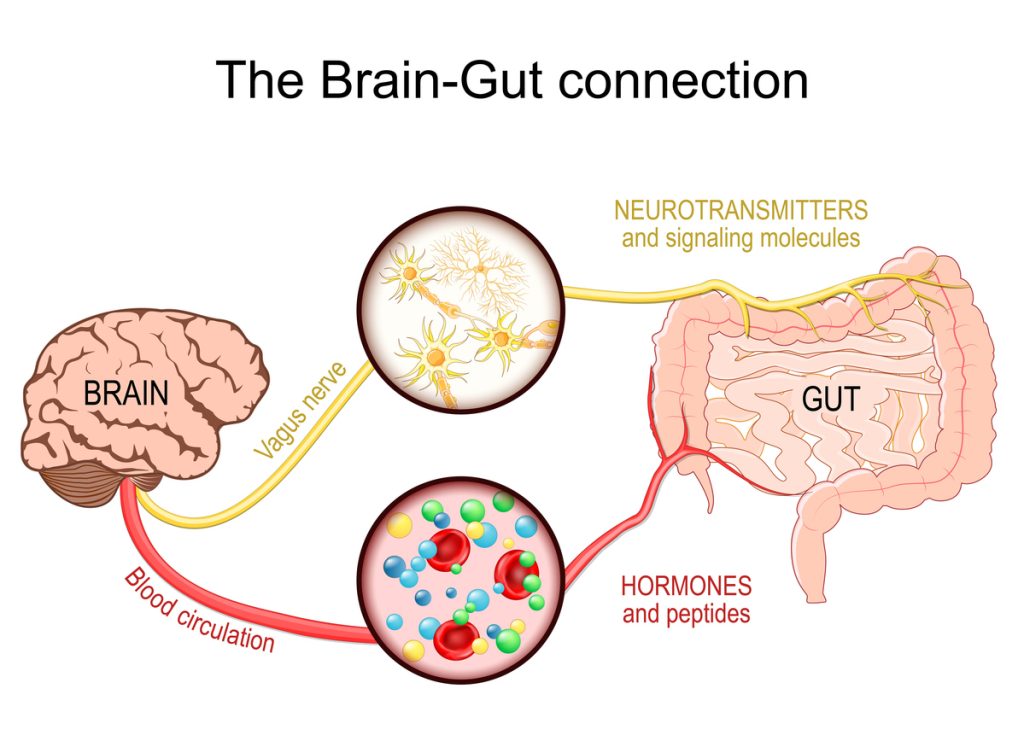 Oxytocin the vagus nerve and kidney health