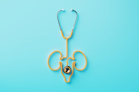 Renalase: The Missing Link in Kidney Disease, Stress, and Hypertension