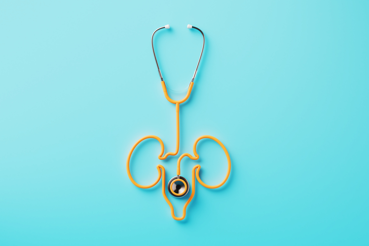 Renalase: The Missing Link in Kidney Disease, Stress, and Hypertension