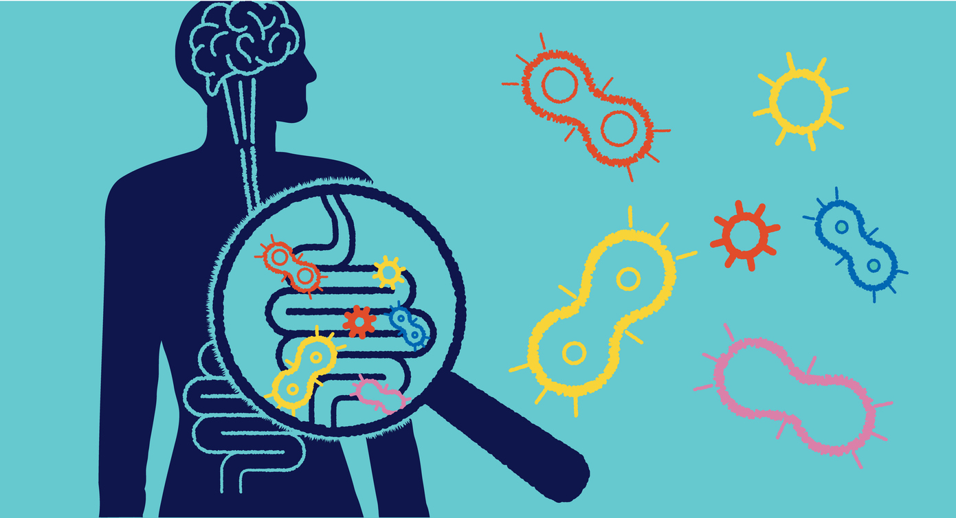 microbiome and kidney disease