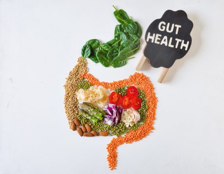 gut health and autoimmune diseases and kidney autoimmune conditions