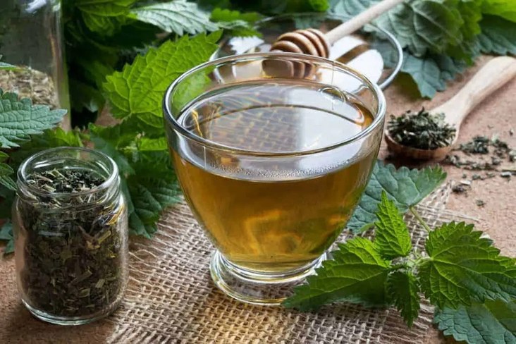 A cup of herbal tea with fresh nettle leaves – natural, evidence-backed support alongside diet and medical care.